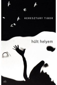 Hűlt helyem