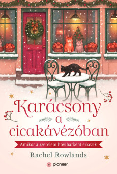Karácsony a cicakávézóban