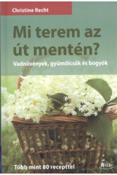 Mi terem az út mentén? /Vadnövények, gyümölcsök és bogyók - több mint 80 recepttel
